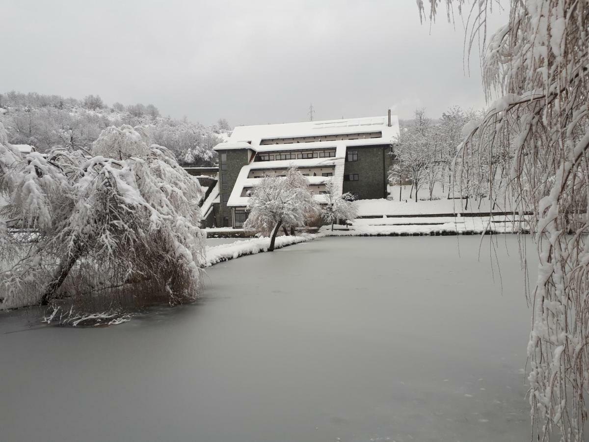 Conacul Lacurilor Băile Herculane Exterior foto
